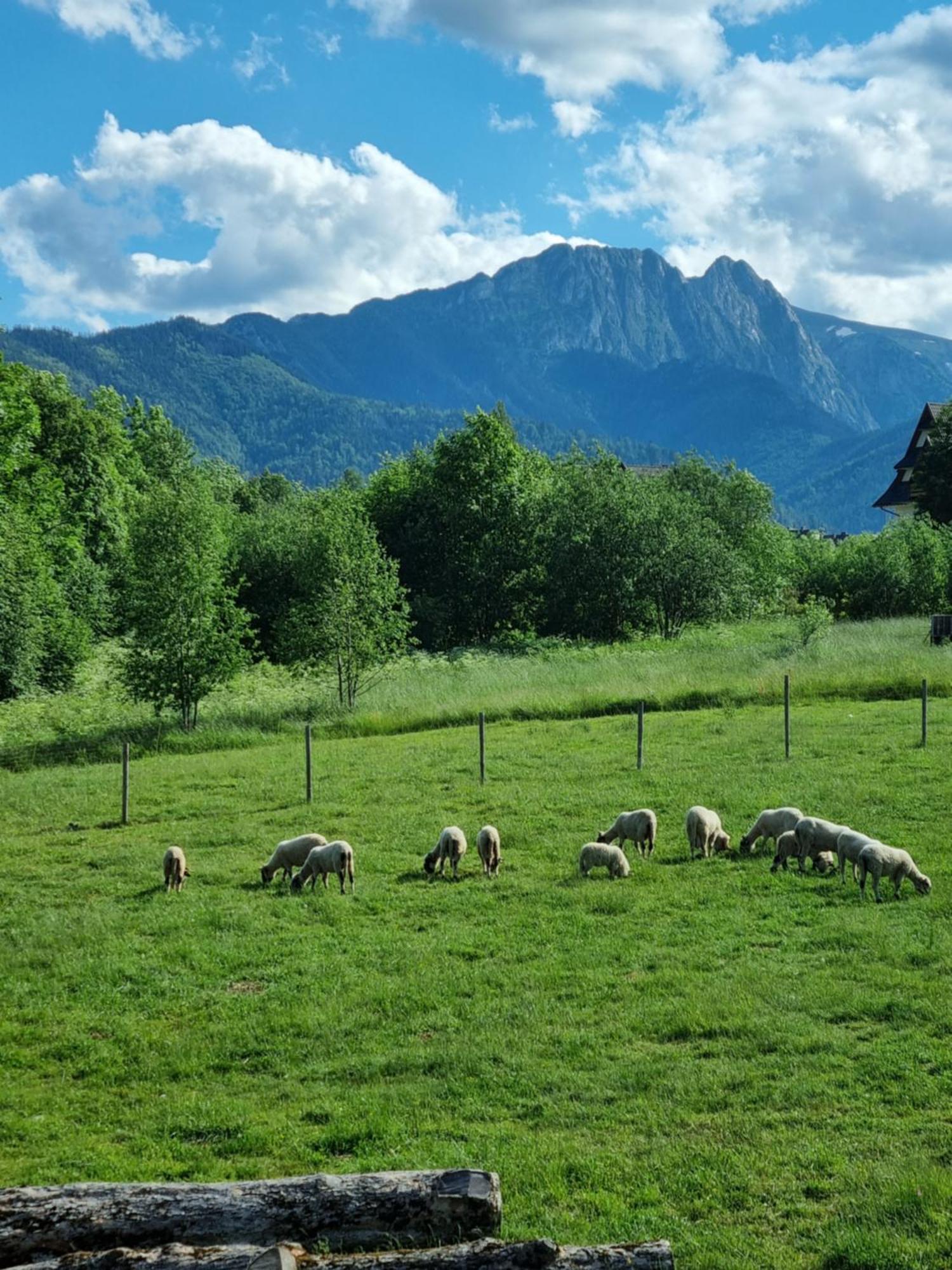 Podhalanska Chatka Zakopane Exterior foto